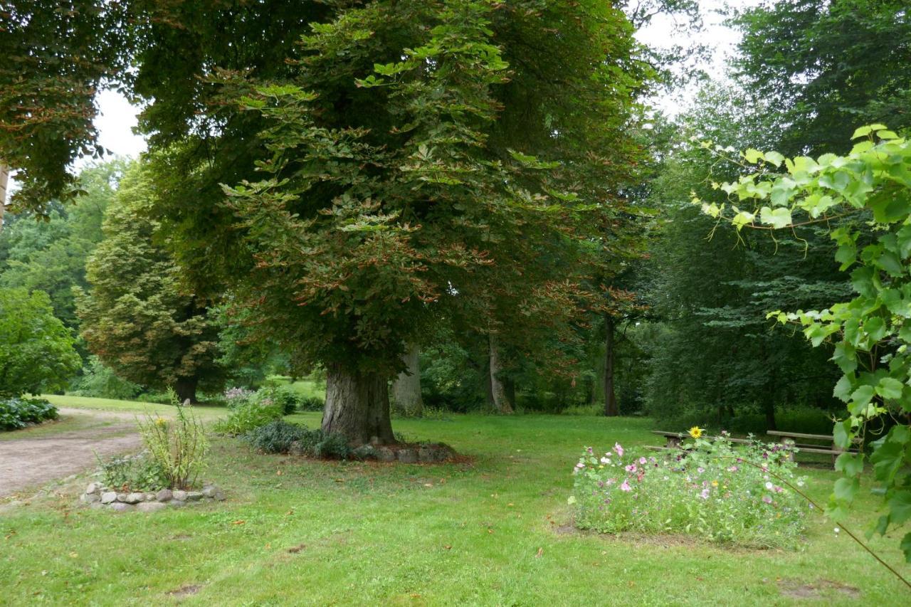 Landhaus Schloss Koelzow Kolzow Extérieur photo