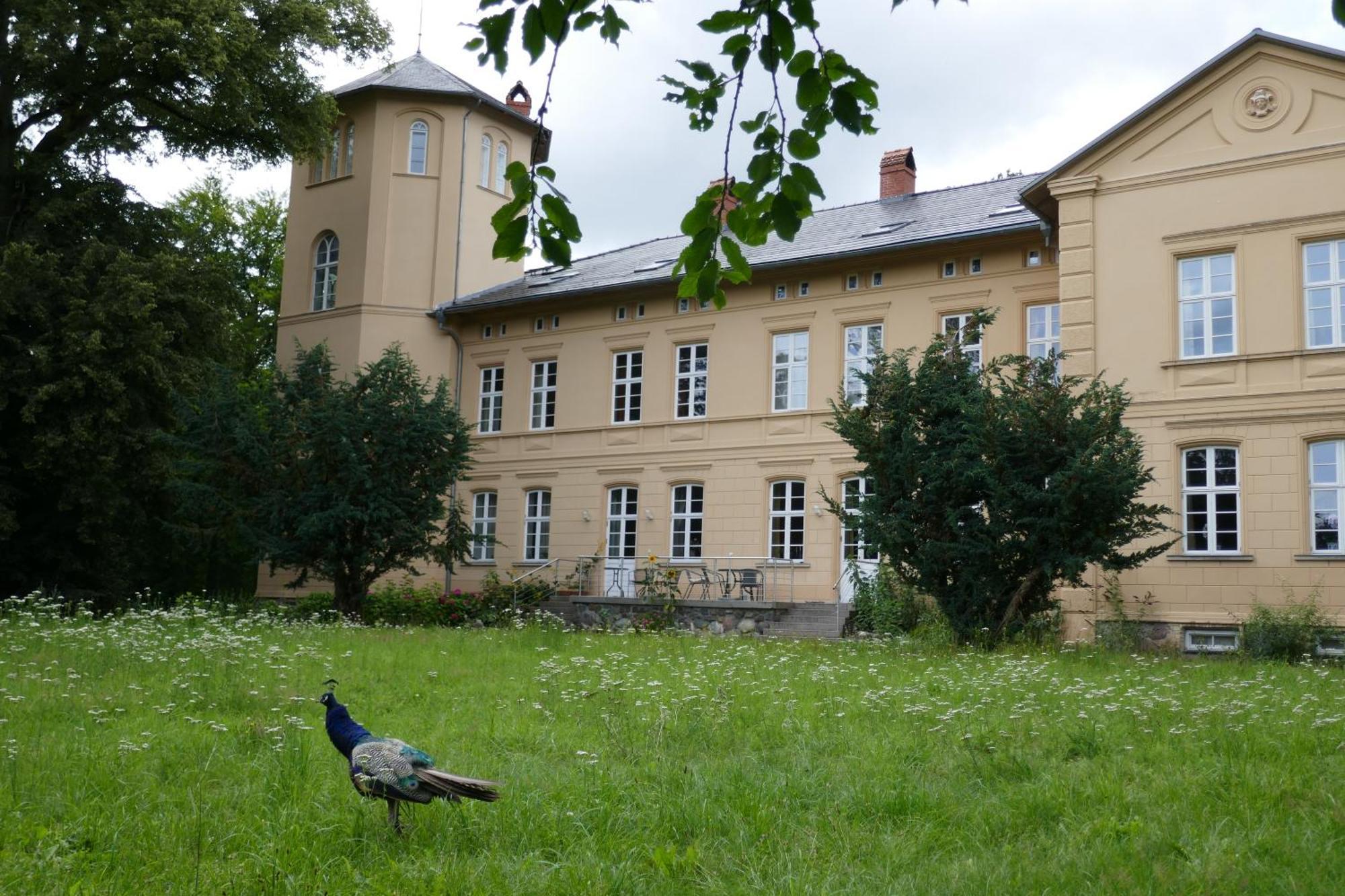 Landhaus Schloss Koelzow Kolzow Extérieur photo