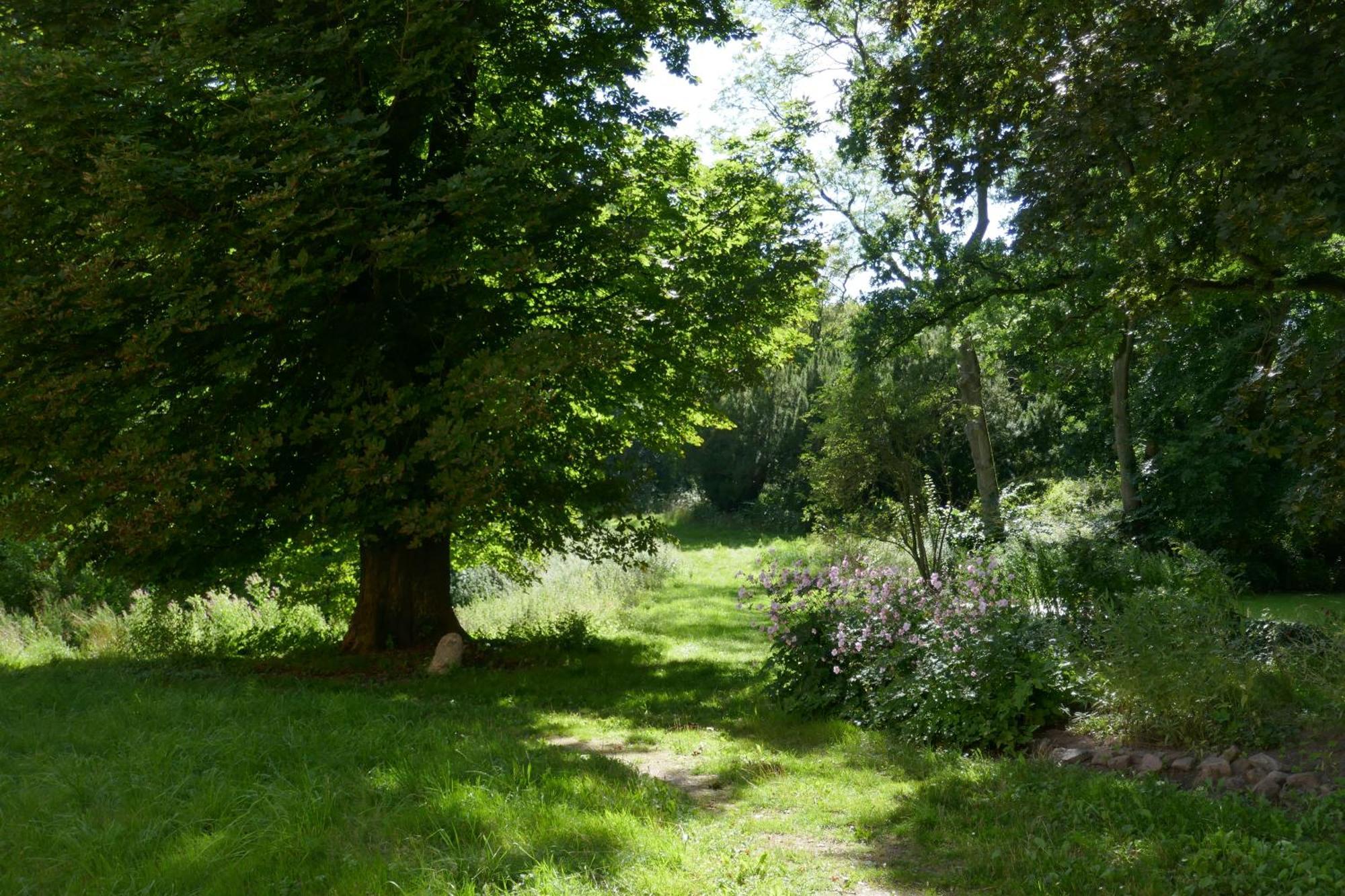 Landhaus Schloss Koelzow Kolzow Extérieur photo